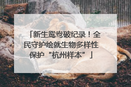 新生鸳鸯破纪录！全民守护绘就生物多样性保护“杭州样本”