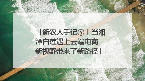 新农人手记⑤丨当湘潭白莲遇上云端电商 新视野带来了新路径