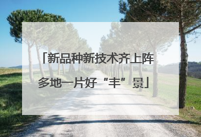 新品种新技术齐上阵 多地一片好“丰”景