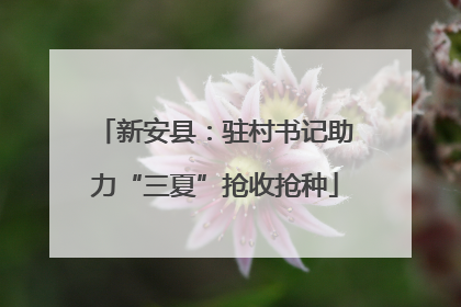 新安县：驻村书记助力“三夏”抢收抢种