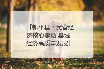新平县：民营经济核心驱动 县域经济高质量发展