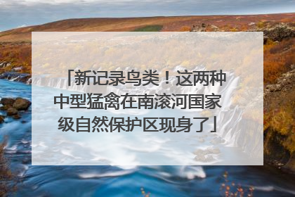 新记录鸟类！这两种中型猛禽在南滚河国家级自然保护区现身了