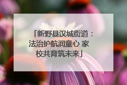 新野县汉城街道：法治护航润童心 家校共育筑未来