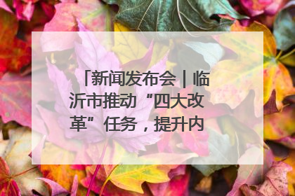 新闻发布会｜临沂市推动“四大改革”任务，提升内部审计监督效能