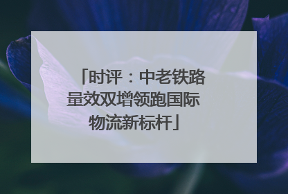 时评：中老铁路量效双增领跑国际物流新标杆
