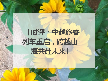 时评：中越旅客列车重启，跨越山海共赴未来