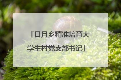 日月乡精准培育大学生村党支部书记