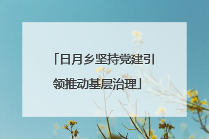 日月乡坚持党建引领推动基层治理