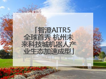 智澄AITR5全球首秀 杭州未来科技城机器人产业生态加速成型