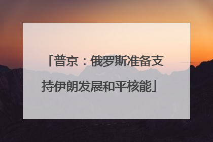 普京：俄罗斯准备支持伊朗发展和平核能