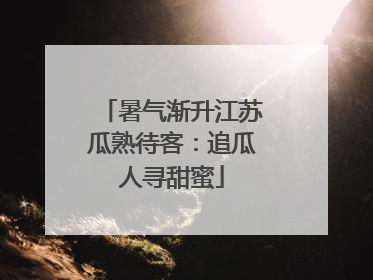暑气渐升江苏瓜熟待客：追瓜人寻甜蜜