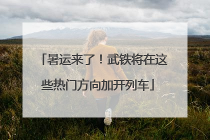 暑运来了！武铁将在这些热门方向加开列车