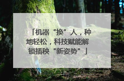 机器“换”人，种地轻松，科技赋能解锁插秧“新姿势”