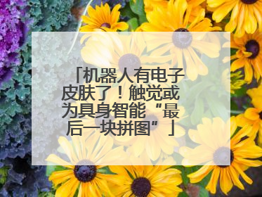 机器人有电子皮肤了！触觉或为具身智能“最后一块拼图”