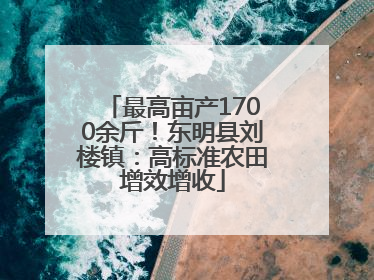 最高亩产1700余斤！东明县刘楼镇：高标准农田增效增收