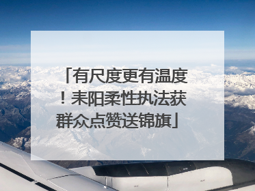 有尺度更有温度！耒阳柔性执法获群众点赞送锦旗