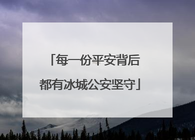每一份平安背后 都有冰城公安坚守