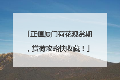 正值厦门荷花观赏期，赏荷攻略快收藏！