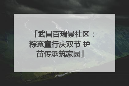 武昌百瑞景社区：粽意童行庆双节 护苗传承筑家园