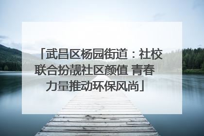 武昌区杨园街道：社校联合扮靓社区颜值 青春力量推动环保风尚