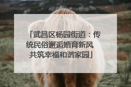 武昌区杨园街道：传统民俗邂逅婚育新风 共筑幸福和谐家园