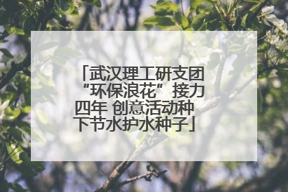 武汉理工研支团“环保浪花”接力四年 创意活动种下节水护水种子