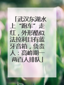 武汉东湖水上“跑车”走红，外形酷似法拉利且有蓝牙音箱，负责人：高峰期一两百人排队