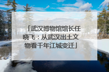 武汉博物馆馆长任晓飞：从武汉出土文物看千年江城变迁