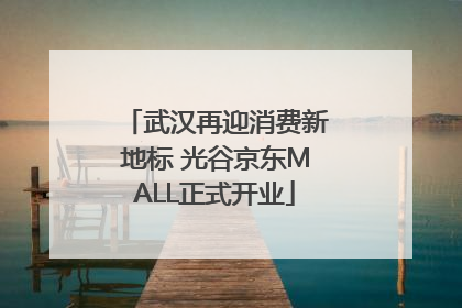 武汉再迎消费新地标 光谷京东MALL正式开业