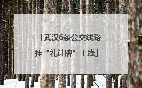 武汉6条公交线路挂“礼让牌”上线