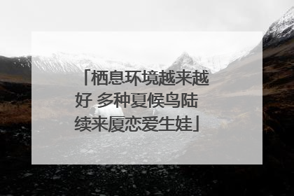 栖息环境越来越好 多种夏候鸟陆续来厦恋爱生娃