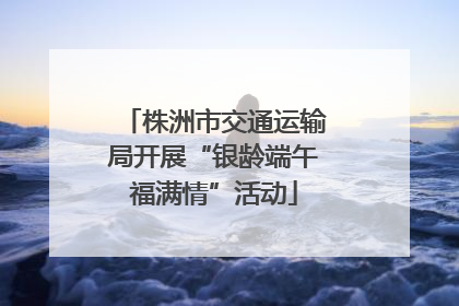 株洲市交通运输局开展“银龄端午福满情”活动