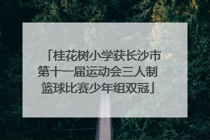 桂花树小学获长沙市第十一届运动会三人制篮球比赛少年组双冠