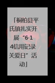 桐柏县平氏镇扎实开展“6·14信用记录关爱日”活动