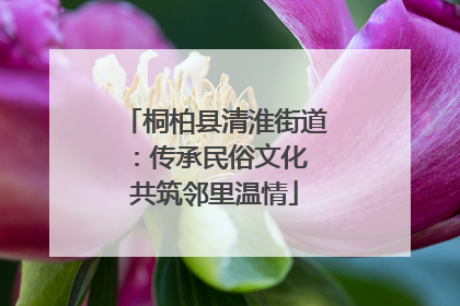 桐柏县清淮街道：传承民俗文化 共筑邻里温情