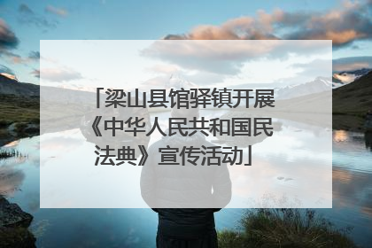 梁山县馆驿镇开展《中华人民共和国民法典》宣传活动