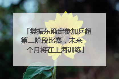 樊振东确定参加乒超第二阶段比赛，未来一个月将在上海训练