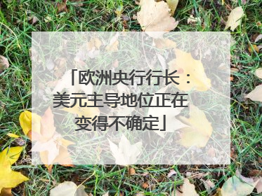 欧洲央行行长：美元主导地位正在变得不确定