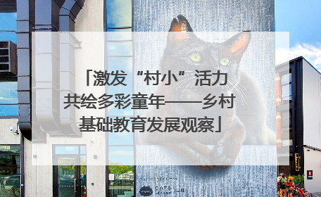 激发“村小”活力 共绘多彩童年——乡村基础教育发展观察