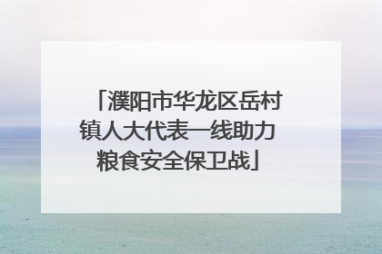 濮阳市华龙区岳村镇人大代表一线助力粮食安全保卫战