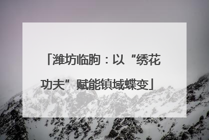 潍坊临朐：以“绣花功夫”赋能镇域蝶变