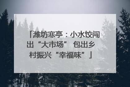 潍坊寒亭：小水饺闯出“大市场” 包出乡村振兴“幸福味”