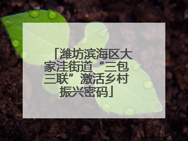 潍坊滨海区大家洼街道“三包三联”激活乡村振兴密码