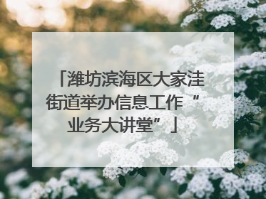 潍坊滨海区大家洼街道举办信息工作“业务大讲堂”