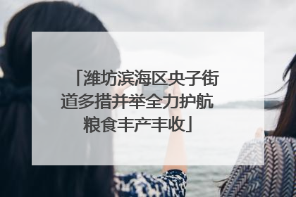 潍坊滨海区央子街道多措并举全力护航粮食丰产丰收