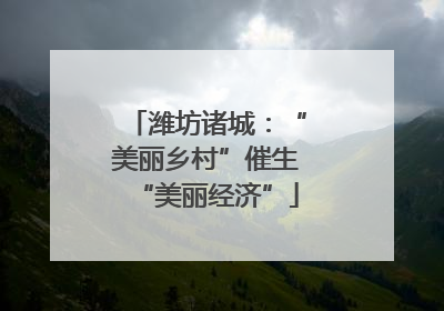 潍坊诸城：“美丽乡村”催生“美丽经济”