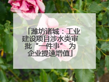 潍坊诸城：工业建设项目涉水类审批“一件事” 为企业提速增值