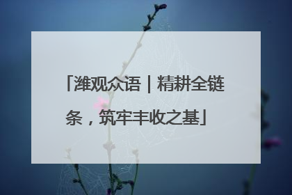 潍观众语｜精耕全链条，筑牢丰收之基