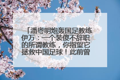 潘粤明炮轰国足教练伊万：一个装傻不辞职的所谓教练，你指望它拯救中国足球！此前曾多次发文评价国足