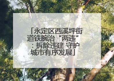 永定区西溪坪街道铁腕治“两违”：拆除违建 守护城市有序发展